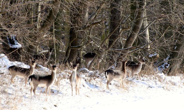 Lebenskraft gewinnen – Organisationen stärken